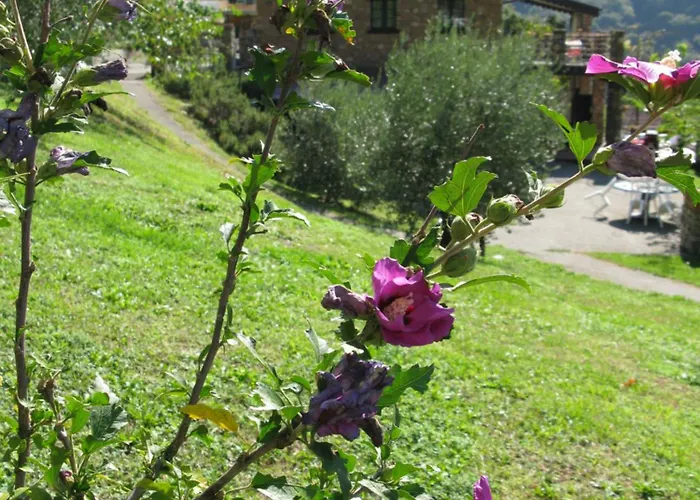 Della Rota *